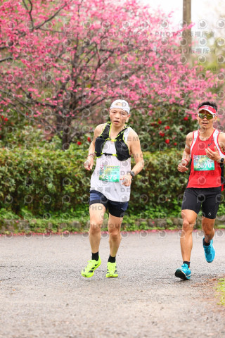 2026左岸竹東櫻花馬拉松Zhudong Sakura Marathon