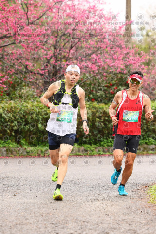 2026左岸竹東櫻花馬拉松Zhudong Sakura Marathon