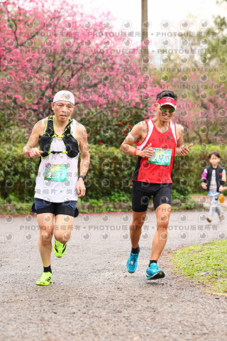 2026左岸竹東櫻花馬拉松Zhudong Sakura Marathon
