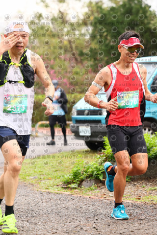 2026左岸竹東櫻花馬拉松Zhudong Sakura Marathon