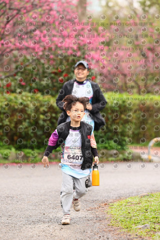 2026左岸竹東櫻花馬拉松Zhudong Sakura Marathon