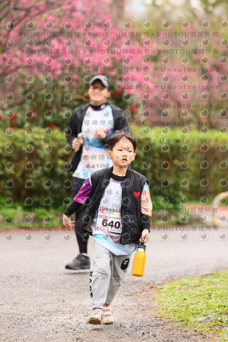 2026左岸竹東櫻花馬拉松Zhudong Sakura Marathon
