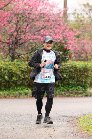 2026左岸竹東櫻花馬拉松Zhudong Sakura Marathon
