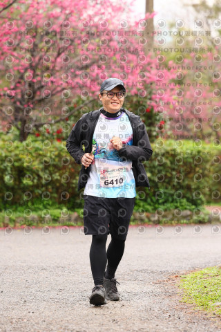 2026左岸竹東櫻花馬拉松Zhudong Sakura Marathon