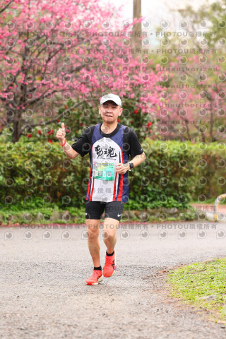 2026左岸竹東櫻花馬拉松Zhudong Sakura Marathon