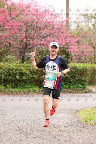 2026左岸竹東櫻花馬拉松Zhudong Sakura Marathon