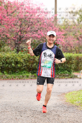 2026左岸竹東櫻花馬拉松Zhudong Sakura Marathon