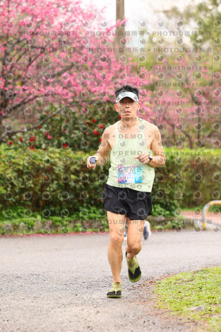 2026左岸竹東櫻花馬拉松Zhudong Sakura Marathon