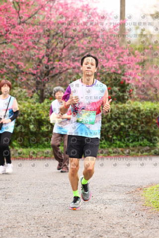 2026左岸竹東櫻花馬拉松Zhudong Sakura Marathon
