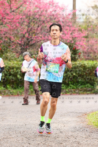2026左岸竹東櫻花馬拉松Zhudong Sakura Marathon