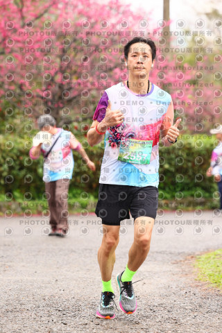 2026左岸竹東櫻花馬拉松Zhudong Sakura Marathon