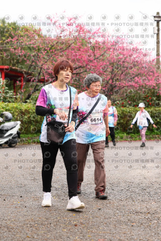 2026左岸竹東櫻花馬拉松Zhudong Sakura Marathon