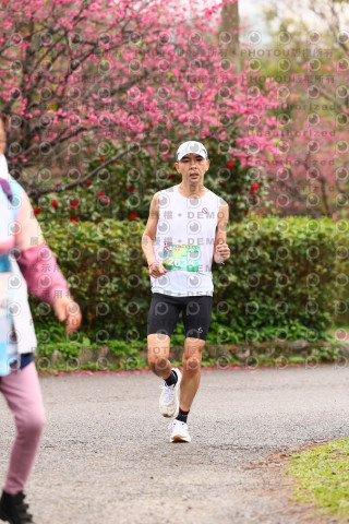 2026左岸竹東櫻花馬拉松Zhudong Sakura Marathon