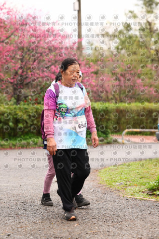 2026左岸竹東櫻花馬拉松Zhudong Sakura Marathon