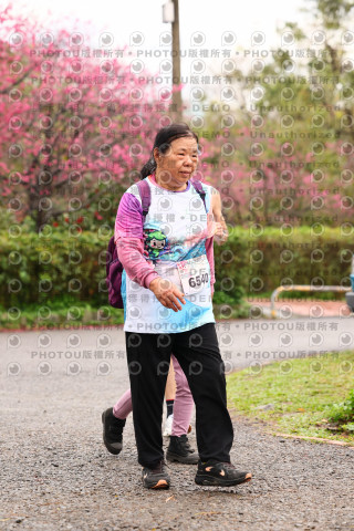 2026左岸竹東櫻花馬拉松Zhudong Sakura Marathon