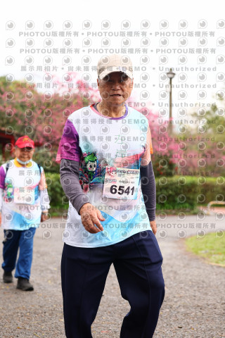 2026左岸竹東櫻花馬拉松Zhudong Sakura Marathon