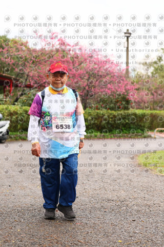 2026左岸竹東櫻花馬拉松Zhudong Sakura Marathon