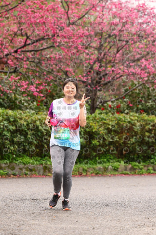 2026左岸竹東櫻花馬拉松Zhudong Sakura Marathon