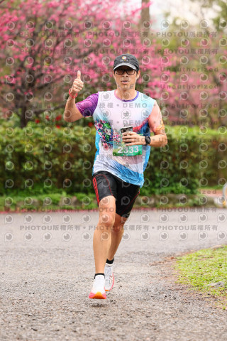 2026左岸竹東櫻花馬拉松Zhudong Sakura Marathon