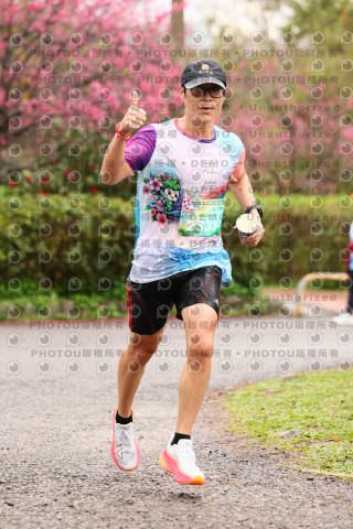 2026左岸竹東櫻花馬拉松Zhudong Sakura Marathon