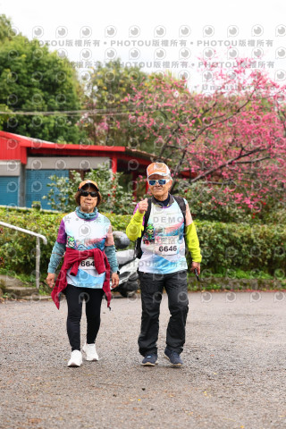 2026左岸竹東櫻花馬拉松Zhudong Sakura Marathon
