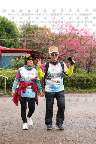 2026左岸竹東櫻花馬拉松Zhudong Sakura Marathon