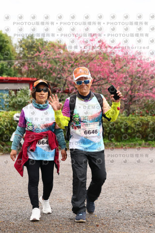2026左岸竹東櫻花馬拉松Zhudong Sakura Marathon