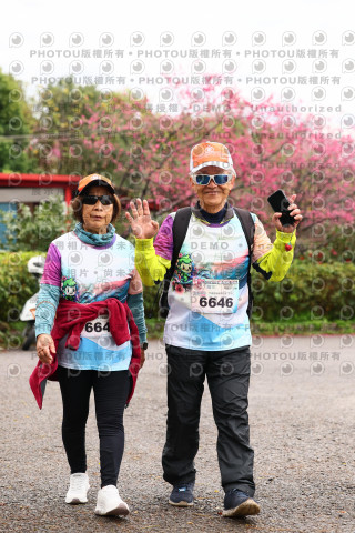2026左岸竹東櫻花馬拉松Zhudong Sakura Marathon
