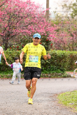 2026左岸竹東櫻花馬拉松Zhudong Sakura Marathon