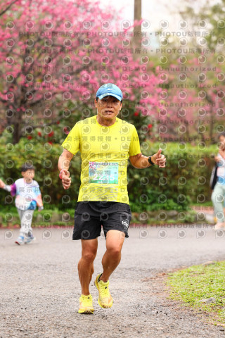 2026左岸竹東櫻花馬拉松Zhudong Sakura Marathon