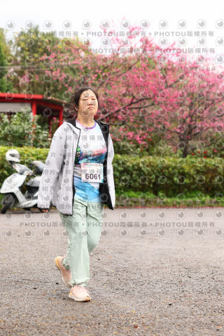 2026左岸竹東櫻花馬拉松Zhudong Sakura Marathon