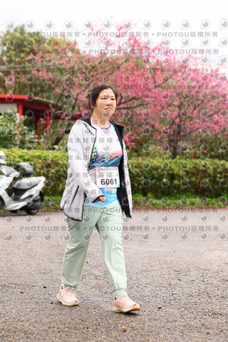 2026左岸竹東櫻花馬拉松Zhudong Sakura Marathon