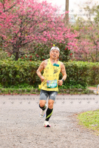 2026左岸竹東櫻花馬拉松Zhudong Sakura Marathon