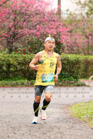 2026左岸竹東櫻花馬拉松Zhudong Sakura Marathon