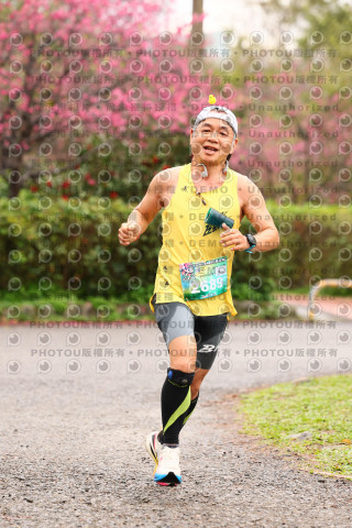 2026左岸竹東櫻花馬拉松Zhudong Sakura Marathon