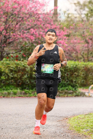 2026左岸竹東櫻花馬拉松Zhudong Sakura Marathon