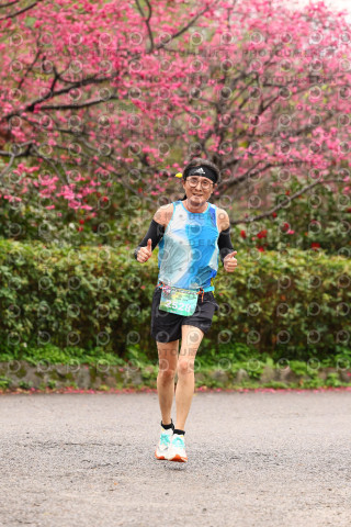 2026左岸竹東櫻花馬拉松Zhudong Sakura Marathon