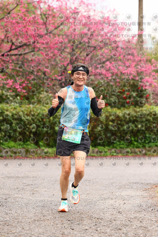 2026左岸竹東櫻花馬拉松Zhudong Sakura Marathon