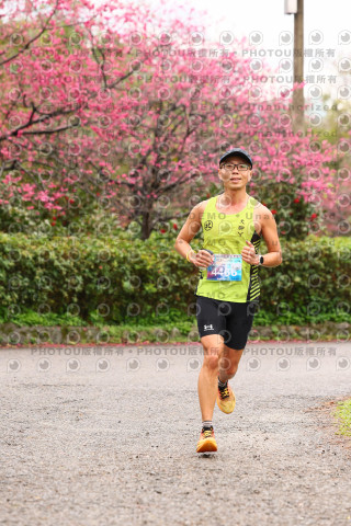 2026左岸竹東櫻花馬拉松Zhudong Sakura Marathon