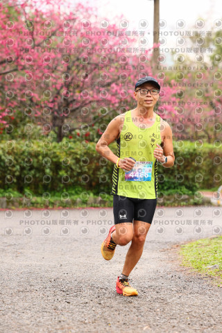 2026左岸竹東櫻花馬拉松Zhudong Sakura Marathon