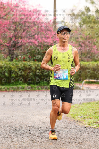 2026左岸竹東櫻花馬拉松Zhudong Sakura Marathon