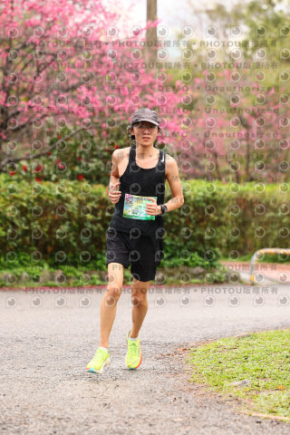 2026左岸竹東櫻花馬拉松Zhudong Sakura Marathon