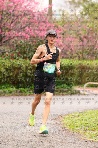 2026左岸竹東櫻花馬拉松Zhudong Sakura Marathon