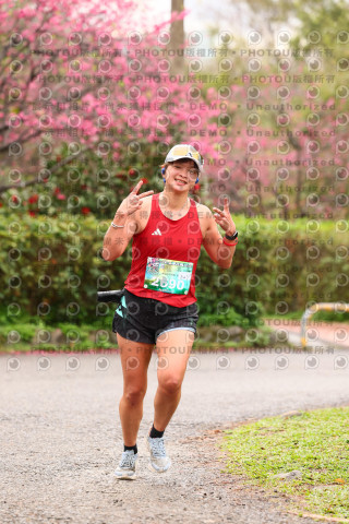 2026左岸竹東櫻花馬拉松Zhudong Sakura Marathon