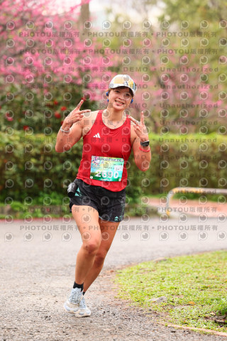 2026左岸竹東櫻花馬拉松Zhudong Sakura Marathon