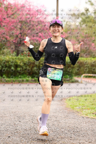 2026左岸竹東櫻花馬拉松Zhudong Sakura Marathon