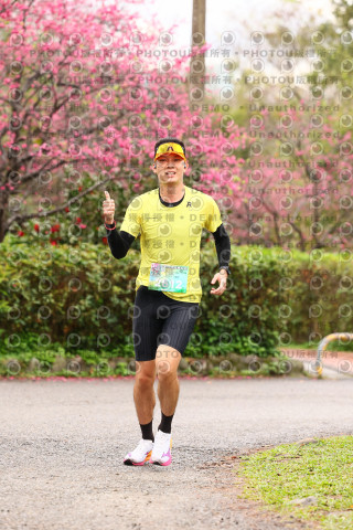 2026左岸竹東櫻花馬拉松Zhudong Sakura Marathon