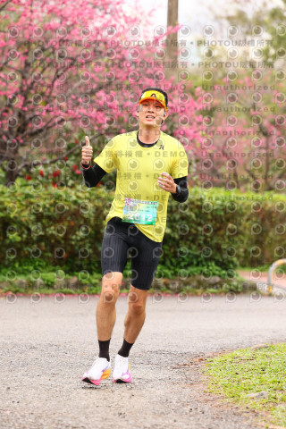 2026左岸竹東櫻花馬拉松Zhudong Sakura Marathon