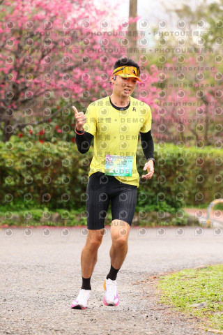 2026左岸竹東櫻花馬拉松Zhudong Sakura Marathon