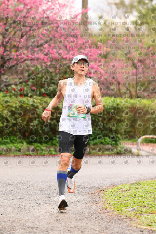 2026左岸竹東櫻花馬拉松Zhudong Sakura Marathon